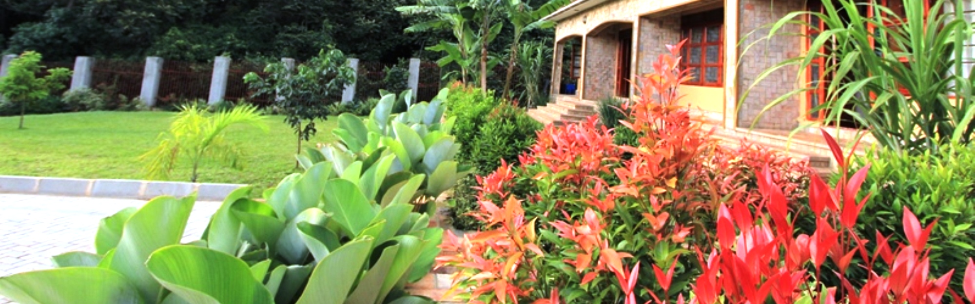 Kisubi Forest Cottages Meetings & Parties